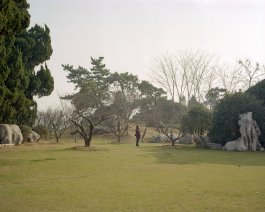 Jiehao Su