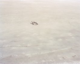 Jiehao Su