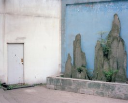 Jiehao Su