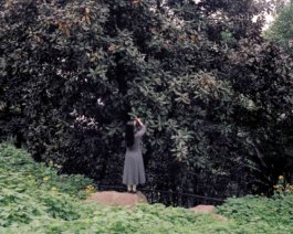 Jiehao Su