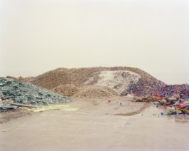 Jiehao Su