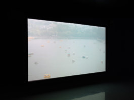 Jiehao Su